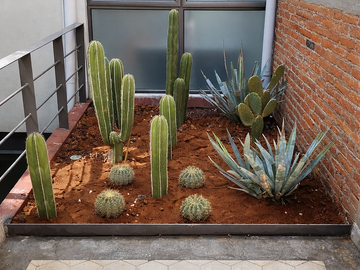 VENTA DE DEPARTAMENTO EN AGUASCALIENTES ROMA SUR