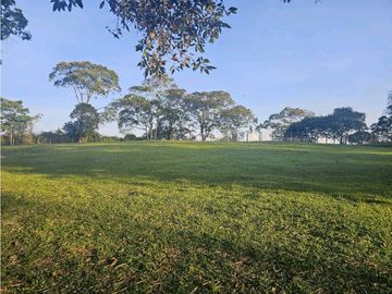 Se Vende Lote en Rionegro LLanogrande Vilachuaga