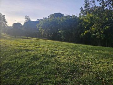 Se Vende Lote en Rionegro LLanogrande Vilachuaga