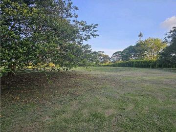 Se Vende Lote en Rionegro LLanogrande Vilachuaga