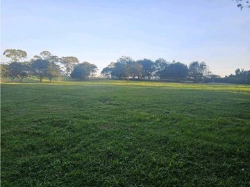 Se Vende Lote en Rionegro LLanogrande Vilachuaga