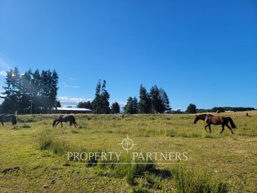 Moderna casa de 341 m² en Condominio «Las Tranqueras», Puerto Varas