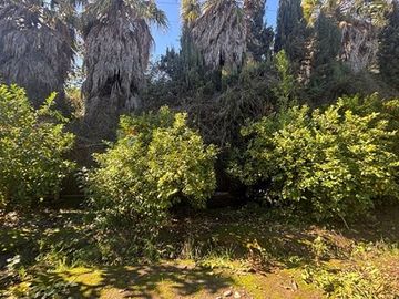 Exclusiva Parcela de Agrado de 3,6 Ha en Melipilla