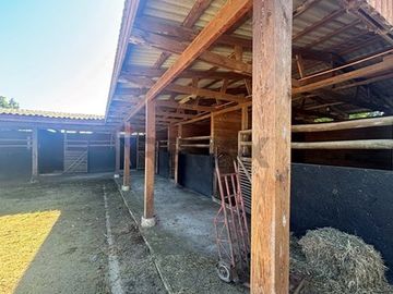 Exclusiva Parcela de Agrado de 3,6 Ha en Melipilla