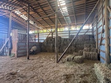Exclusiva Parcela de Agrado de 3,6 Ha en Melipilla