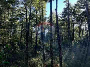 Terreno en venta 69 parcelas con ROL Curarrehue