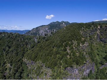 Terreno en venta 69 parcelas con ROL Curarrehue