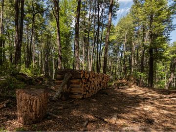 Terreno en venta 69 parcelas con ROL Curarrehue