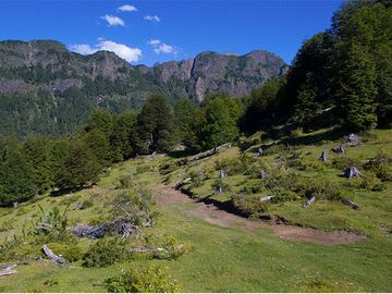 Terreno en venta 69 parcelas con ROL Curarrehue