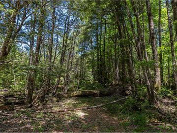 Terreno en venta 69 parcelas con ROL Curarrehue