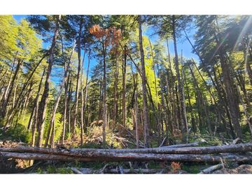 Terreno en venta 69 parcelas con ROL Curarrehue