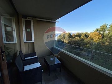 Departamento Costanera Villarrica