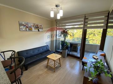 Departamento Costanera Villarrica