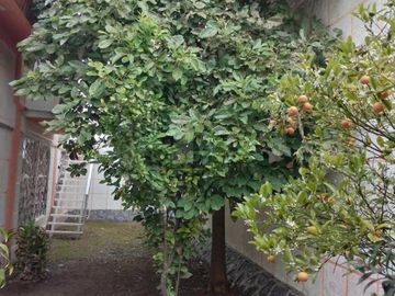 Casa sola en venta en Lomas de San Isidro El Pino, La Paz, México