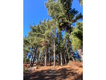 Casa Parcela en Arriendo Amoblada - Camino a Quintay