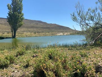Estancia 7800 ha - Zapala - Neuquen