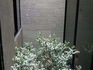 CASA EN VENTA EN SAN ANGEL V