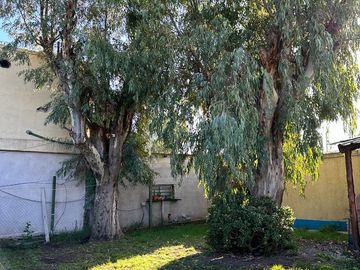 Venta Quinta 4 Amb. S/Lote 24.73x45,50M² en Paso del Rey  - Con Pileta y Quincho