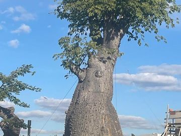 Terreno en venta al lago en Virazón, Nordelta