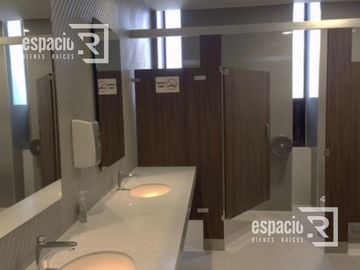 OFICINA EN RENTA EDIFICIO G3