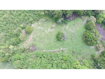 VENTA FINCA 26 HECTAREAS ALADO DE PLAYABLANCA INVERSION Y OPORTUNIDAD