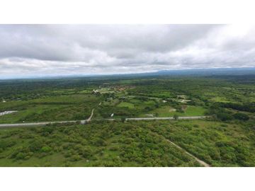 VENTA FINCA 26 HECTAREAS ALADO DE PLAYABLANCA INVERSION Y OPORTUNIDAD