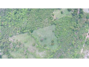 VENTA FINCA 26 HECTAREAS ALADO DE PLAYABLANCA INVERSION Y OPORTUNIDAD