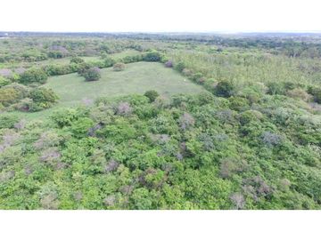VENTA FINCA 26 HECTAREAS ALADO DE PLAYABLANCA INVERSION Y OPORTUNIDAD