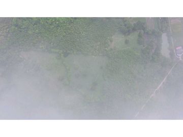 VENTA FINCA 26 HECTAREAS ALADO DE PLAYABLANCA INVERSION Y OPORTUNIDAD