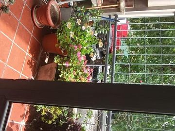 Departamento en  Alquiler en Saavedra