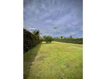 Venta Espectacular Lote Parcelación Llanogrande