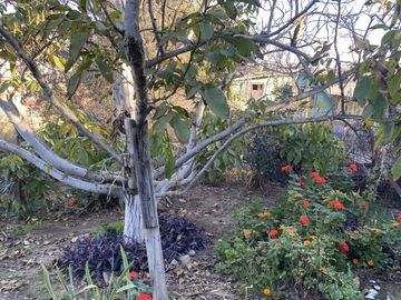 Propiedad 774 m2, Las Rosas