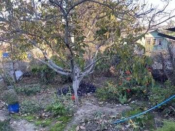 Propiedad 774 m2, Las Rosas