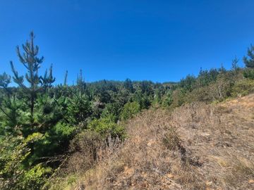 QUINCHEUMO A 1 HORA DE PICHILEMU