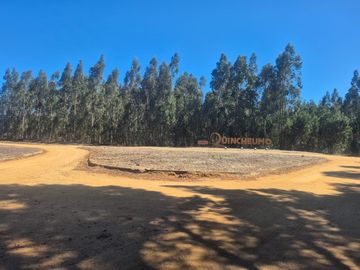 QUINCHEUMO A 1 HORA DE PICHILEMU