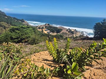 QUINCHEUMO A 1 HORA DE PICHILEMU