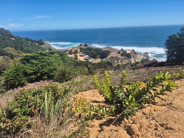 QUINCHEUMO A 1 HORA DE PICHILEMU