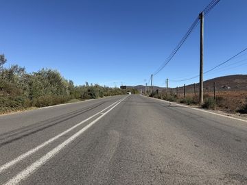 SECTOR TAMBILLOS, COQUIMBO.