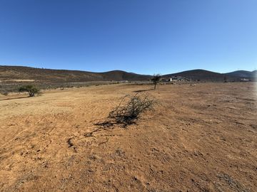 SECTOR TAMBILLOS, COQUIMBO.