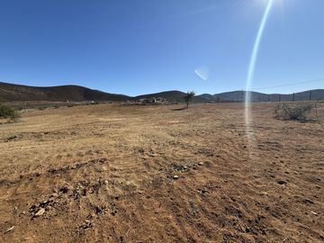 SECTOR TAMBILLOS, COQUIMBO.