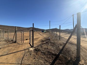 SECTOR TAMBILLOS, COQUIMBO.