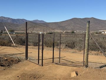 SECTOR TAMBILLOS, COQUIMBO.