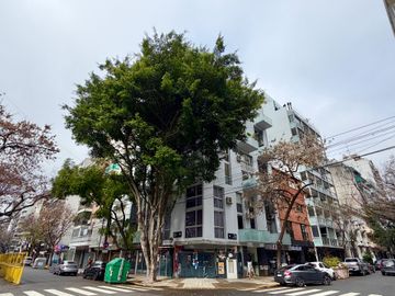 VENTA DEPARTAMENTO PALERMO CHICO 3 AMBIENTES