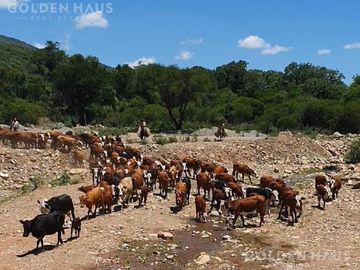 Venta de finca - Campo - Mixto - Arroyo - Bosques - 2700 Hectareas