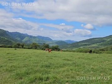 Venta de finca - Campo - Mixto - Arroyo - Bosques - 2700 Hectareas