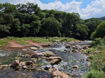 Venta de finca - Campo - Mixto - Arroyo - Bosques - 2700 Hectareas