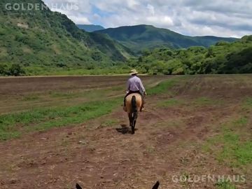 Venta de finca - Campo - Mixto - Arroyo - Bosques - 2700 Hectareas