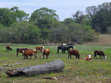Venta de finca - Campo - Mixto - Arroyo - Bosques - 2700 Hectareas