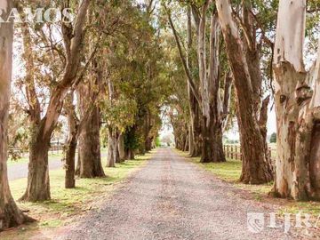 Terreno en El Campo - Fincas Exclusivas Cardales - MB