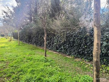 Terreno en Venta en Francisco Alvarez - Moreno